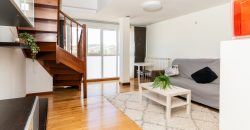 Dúplex  en Alegría – Dulantzi Dúplex  en Alegría – Dulantzi