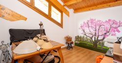 Casa o chalet independiente en venta en Calle Virgen de la Peña