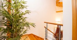Casa o chalet independiente en venta en Calle Virgen de la Peña